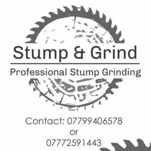 49210821 382692252277830 4213845289447981056 n